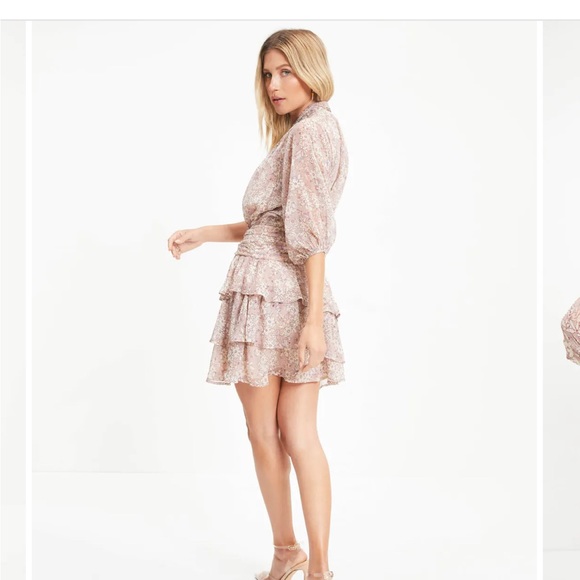 Vici Mable Floral Mini Dress - NWT - Picture 3 of 10